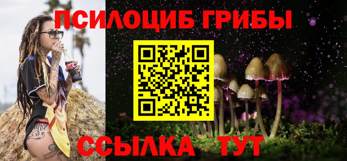 Псилоцибиновые грибы Psilocybine cubensis  Вход с VPN  даркнет сайт  Галлюциногенные грибы мицелий  Сосновоборск 